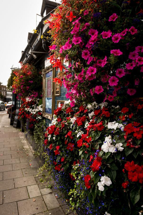 The Foresters Arms Hotell Kingston upon Thames  Exteriör bild